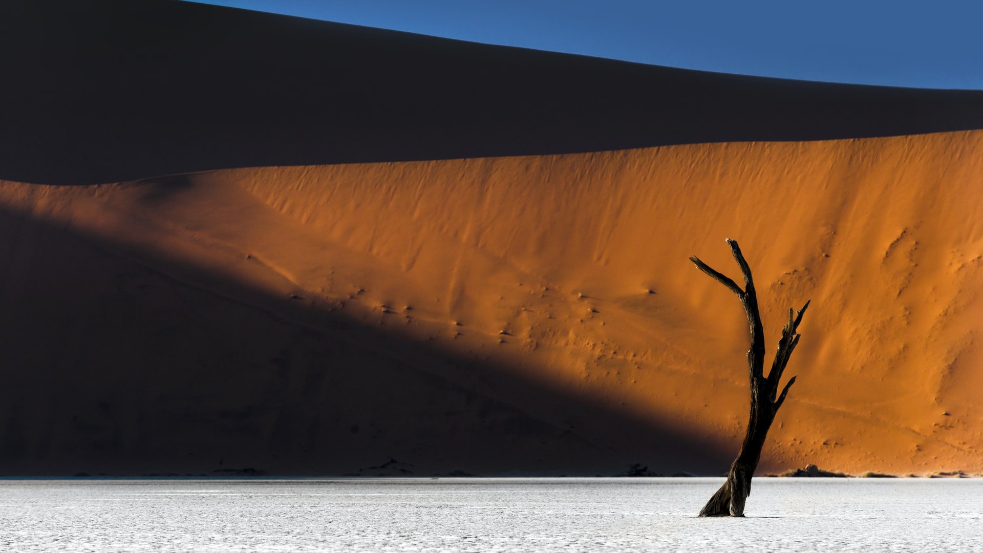 First research result visualization